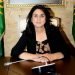 نەجات شەعبان: دادپەروەری د سیستەمێ باجێ دا دەرگەهێ سەرەکیێ چاکسازیێ یە