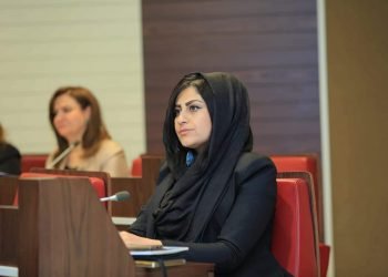 گولستان باقى: ئه‌م كار ل سه‌ر پرۆژه‌یێ رێكخستنا گومرگێن فێقى و كه‌سكاتیێ دكه‌ین