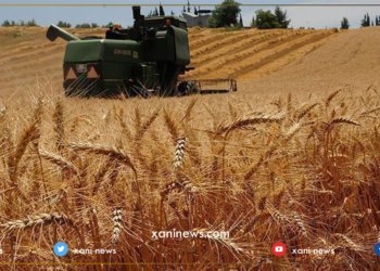 حكومەتا ئیراقێ دێ 100 ملیار دیناران بۆ جۆتیاران خەرج كەت