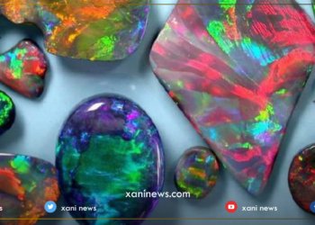 دوو برایان به‌ره‌كێ ده‌گمه‌ن دیتییه كو‌ 500 جاران ژ زێری گرانتره‌