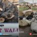 7 به‌له‌م و 24 تۆرێن ماسییان هاتنه‌ ده‌سته‌سه‌ركرن