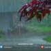سه‌قاناسییا هەرێمێ: ل ده‌ڤه‌رێن چیایى دێ باران باریت