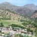 تۆپخانێن تورکیا دەردۆرا کێستە و ملا چەپەرا تۆپباران کر