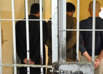 ب ده‌هان وه‌لاتیێن كورد هاتنه‌ ده‌سته‌سه‌ركرن