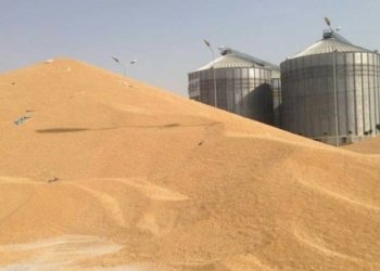 150 ملیۆن دینار دێ بۆ جوتیارێن دهۆكێ هێنه‌ خه‌رج كرن