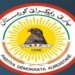 لقا پێنج یا پارتیا: میدیا ب نە بەرپرسیارانە بزاڤێ دکەن رایا گشتی ب خاپینن 