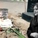 پارێزه‌رێن كه‌یسا ژینا ئه‌مینى : ناهێلن ئه‌م كه‌یسێ ببینین