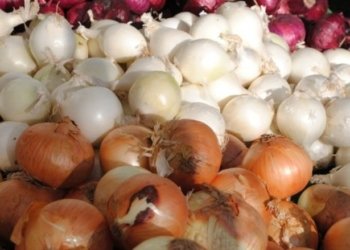 ل سووریێ وه‌لاتى دشێن حه‌ڤتییانه‌ ب تنێ ئێك كیلۆیا پیڤازان بكرن