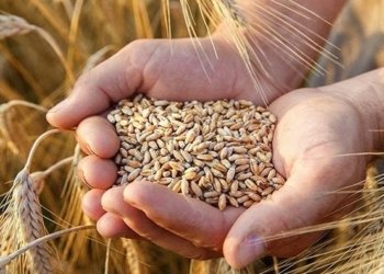بانكا جیهانى : عیراق بۆ پاراستنا ئاسایشا خوارنێ پێدڤى‌ ب 2.3 ملیار دۆلارایه‌