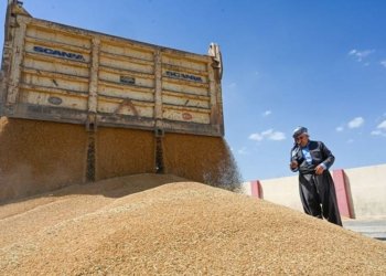 هه‌تا نوكه‌ زێده‌تر ژ 214 هزار ته‌نێن گه‌نمى ژ جۆتیاران هاتینه‌ وه‌رگرتن