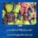 ئه‌ڤ ساله‌ 50% ێ به‌رهه‌مێ تری دێ ژ سالا بوری كێمتر بیت