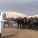 حالەتەكێ دی یێ تایا خوینبەربوونێ ل هەرێمێ هاتە تۆماركرن