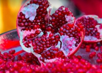 بریارا قه‌ده‌غه‌یا ئینانا هناران هاته‌ ڕاگرتن