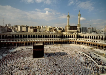 چوونا عومرێ ب 350 هەتا 750 دۆلارایە