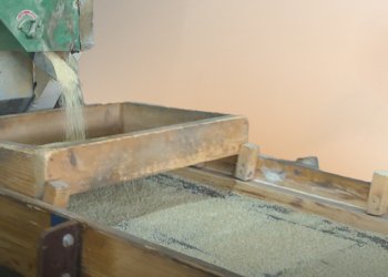 بەرهەمئینانا برنجی ل ئاكرێ كێمبوویە