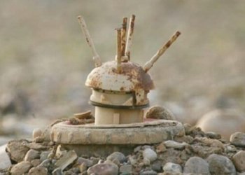 ئامارێن سالا بووری یێن ڕێڤەبەرییا گشتییا کاروبارێن مینا ل دهۆکێ؛